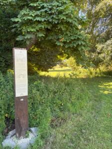 Wiltshire Country Scenic Walk